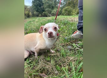 PIXIE -  ich bin gespannt was das Leben Tolles für mich bereithält...