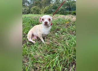 PIXIE -  ich bin gespannt was das Leben Tolles für mich bereithält...