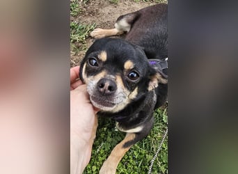 Insa benötigt Zeit um Bindung aufzubauen