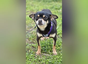 Insa benötigt Zeit um Bindung aufzubauen