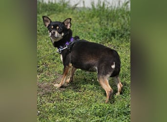 Insa benötigt Zeit um Bindung aufzubauen