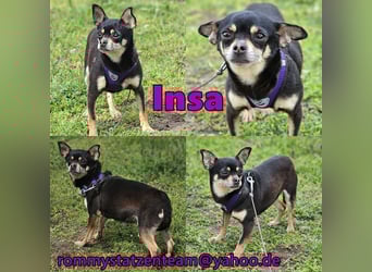 Insa benötigt Zeit um Bindung aufzubauen