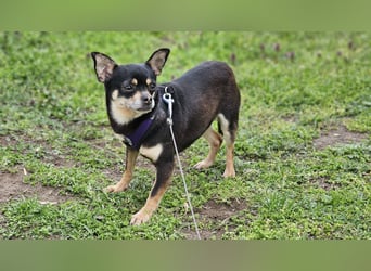 Insa benötigt Zeit um Bindung aufzubauen