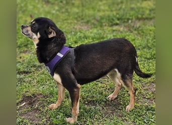 Insa benötigt Zeit um Bindung aufzubauen