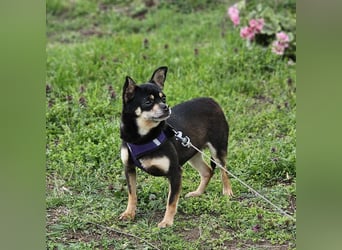 Insa benötigt Zeit um Bindung aufzubauen