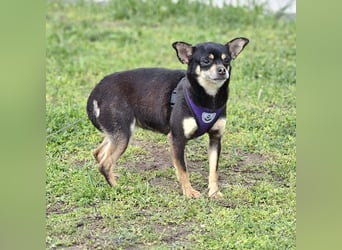 Insa benötigt Zeit um Bindung aufzubauen