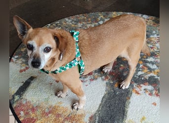 Sonnenanbeterin Elmi ❤️ menschenbezogen und lebensfroh - bereits in Deutschland