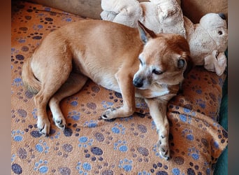 Sonnenanbeterin Elmi ❤️ menschenbezogen und lebensfroh - bereits in Deutschland