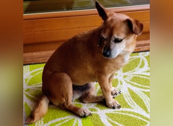 Sonnenanbeterin Elmi ❤️ menschenbezogen und lebensfroh - bereits in Deutschland