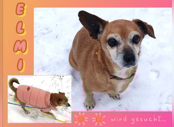 Sonnenanbeterin Elmi ❤️ menschenbezogen und lebensfroh - bereits in Deutschland