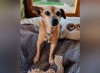 Sonnenanbeterin Elmi ❤️ menschenbezogen und lebensfroh - bereits in Deutschland