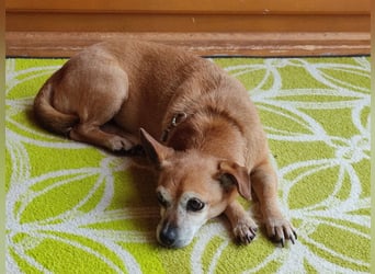 Sonnenanbeterin Elmi ❤️ menschenbezogen und lebensfroh - bereits in Deutschland