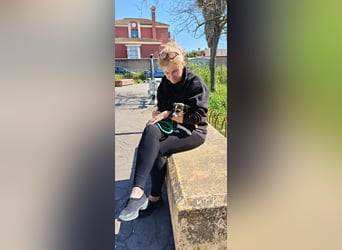 kleine, freundliche Dina sucht verantwortungsvolles Zuhause