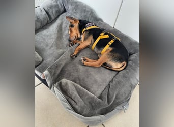 Roger: einfach nur Klasse!