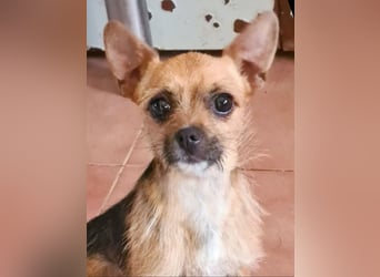 CATALINA - Lebensfreude pur sucht liebevolle Für-immer-