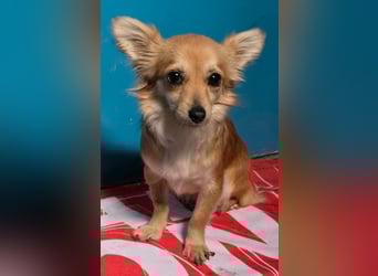 Linda, einfach bezaubernd und liebenswert