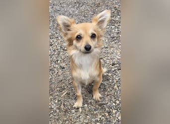 Linda, einfach bezaubernd und liebenswert