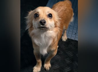 Linda, einfach bezaubernd und liebenswert