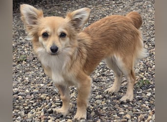 Linda, einfach bezaubernd und liebenswert