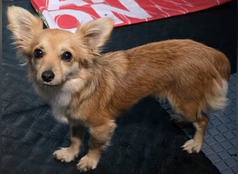 Linda, einfach bezaubernd und liebenswert