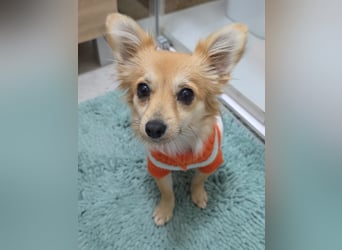 Linda, einfach bezaubernd und liebenswert