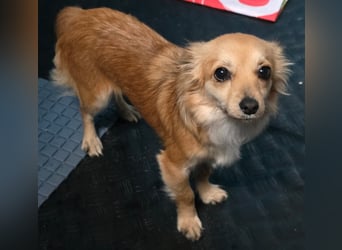 Linda, einfach bezaubernd und liebenswert