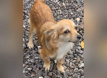 Linda, einfach bezaubernd und liebenswert