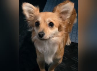 Linda, einfach bezaubernd und liebenswert