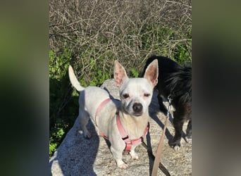 Mimmo und Mimma: zwei Zwerge auf dem Abstellgleis