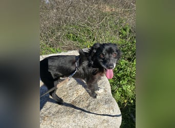 Mimmo und Mimma: zwei Zwerge auf dem Abstellgleis