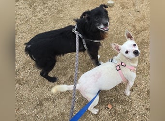 Mimmo und Mimma: zwei Micro-Schätze