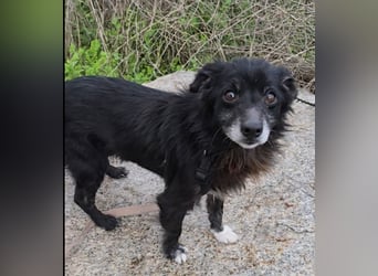 Mimmo und Mimma: zwei Zwerge auf dem Abstellgleis