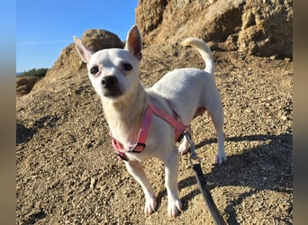 Mimmo und Mimma: zwei Zwerge auf dem Abstellgleis