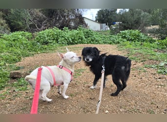 Mimmo und Mimma: zwei Zwerge auf dem Abstellgleis