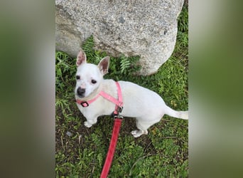 Mimmo und Mimma: zwei Micro-Schätze