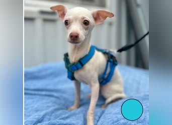 BEBE - ich freue mich auf meine Menschen und gespannt, was mich erwartet...