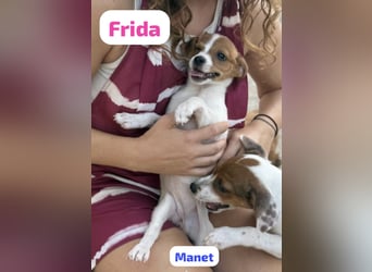 FRIDA besonderes Mädchen mit Handicap