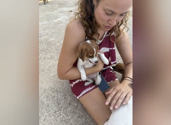 FRIDA besonderes Mädchen mit Handicap