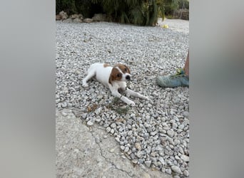 FRIDA besonderes Mädchen mit Handicap