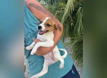 FRIDA besonderes Mädchen mit Handicap