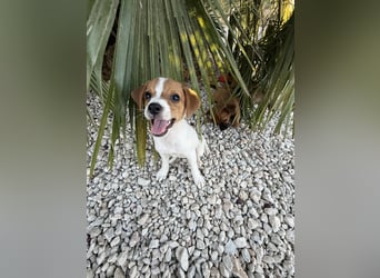FRIDA besonderes Mädchen mit Handicap