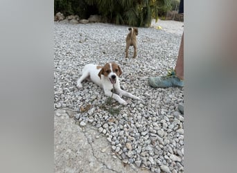 FRIDA besonderes Mädchen mit Handicap