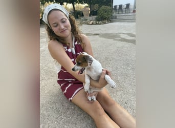 FRIDA besonderes Mädchen mit Handicap