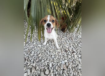 FRIDA besonderes Mädchen mit Handicap