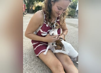 FRIDA besonderes Mädchen mit Handicap