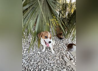 FRIDA besonderes Mädchen mit Handicap