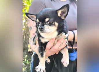 Bimba sucht liebevolle Menschen