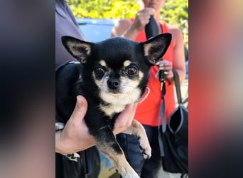 Bimba sucht liebevolle Menschen