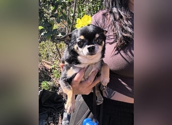 Bimba sucht liebevolle Menschen