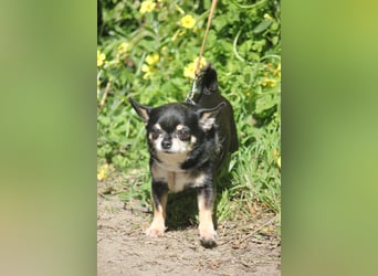 Bimba sucht liebevolle Menschen